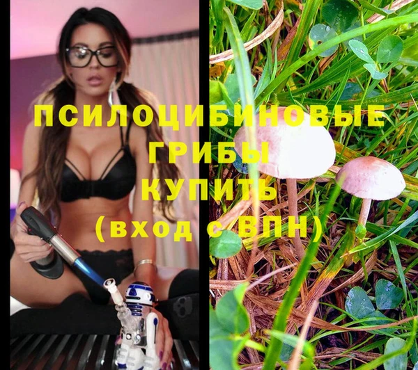 марки lsd Балабаново