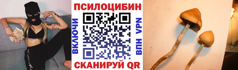 Галлюциногенные грибы прущие грибы  Купить  Анива 
